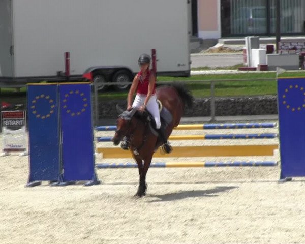 Reitturnier Ingolstadt-Hagau KPVI-Meisterschaft 2018