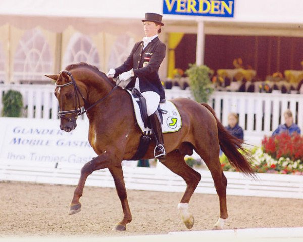 stallion Fider's Welt (Westphalian, 2001, from Fidermark)