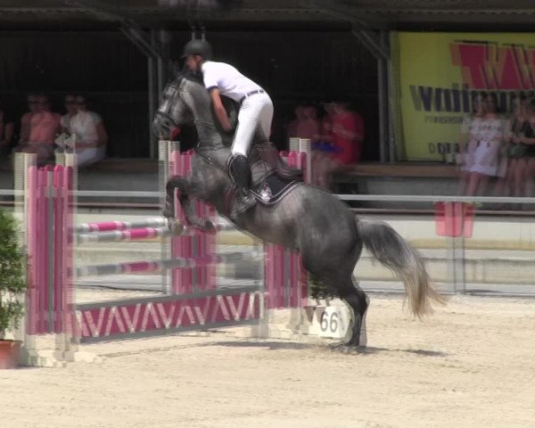Reitturnier Ingolstadt-Hagau KPVI-Meisterschaft 2018