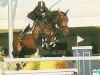 Deckhengst Ishan du Cerisier (Koninklijk Warmbloed Paardenstamboek Nederland (KWPN), 1990, von Wellington)