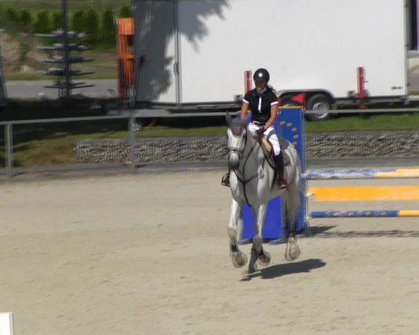Reitturnier Ingolstadt-Hagau KPVI-Meisterschaft 2018