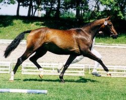 broodmare Finale's Glorias (Bavarian, 1995, from Glorieux)