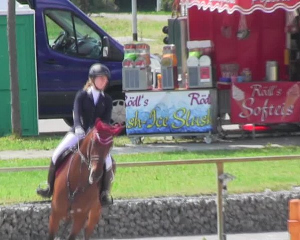 Reitturnier Ingolstadt-Hagau KPVI-Meisterschaft 2018