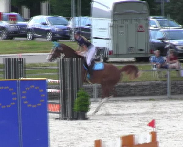 Reitturnier Ingolstadt-Hagau KPVI-Meisterschaft 2018
