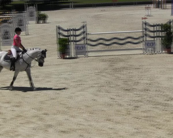 Reitturnier Ingolstadt-Hagau KPVI-Meisterschaft 2018