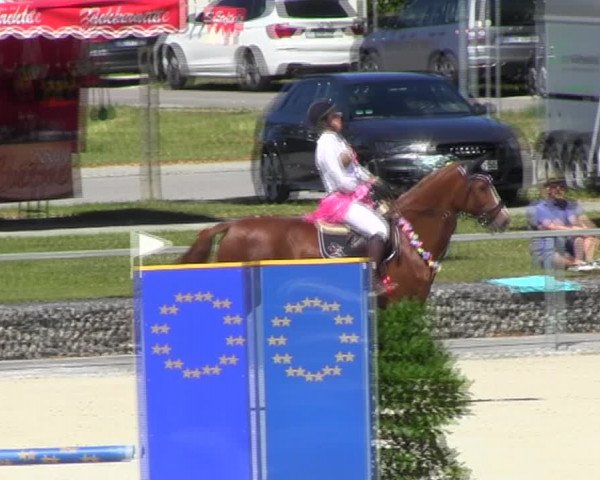 Reitturnier Ingolstadt-Hagau KPVI-Meisterschaft 2018