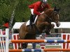 jumper AK'S Anima (Norwegian Warmblood, 1995, from Animo)