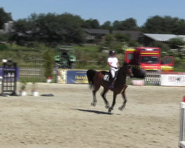 Reitturnier Schülp / Rendsburg 2018