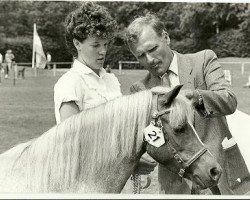 Zuchtstute Chestnut Alley Honestly (Welsh Mountain Pony (Sek.A),  , von Roman Asa)