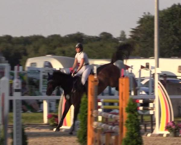 Reitturnier Melle-Ostenfelde 2018