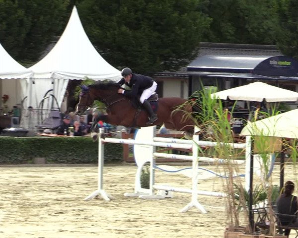 Equus Colonius - Reitanlage Brüse Köln 2021