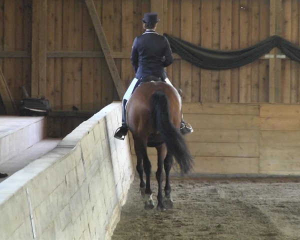 Reitturnier Pellheim-Gerblhof 2018