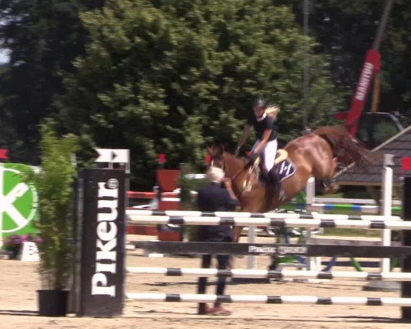 Reitturnier Melle-Ostenfelde 2018