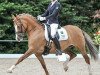 dressage horse Dorette B (German Riding Pony, 2008, from FS Don't Worry)