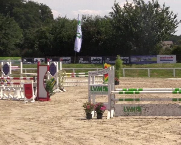 Reitturnier Melle-Ostenfelde 2018