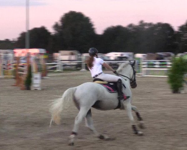 Reitturnier Melle-Ostenfelde 2018