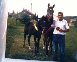 broodmare Sabrina (Zweibrücken, 1983, from Sandokan)