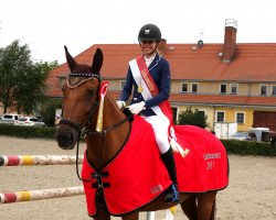 jumper Get Up And Fly (Oldenburg show jumper, 2005, from Gepardi)