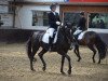 dressage horse Lola 272 (Rhinelander, 2010, from Sir Donnerhall I)