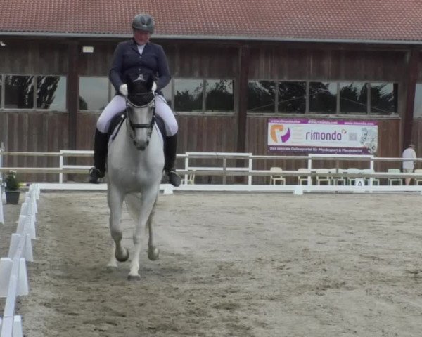 Reitturnier Pellheim-Gerblhof 2018