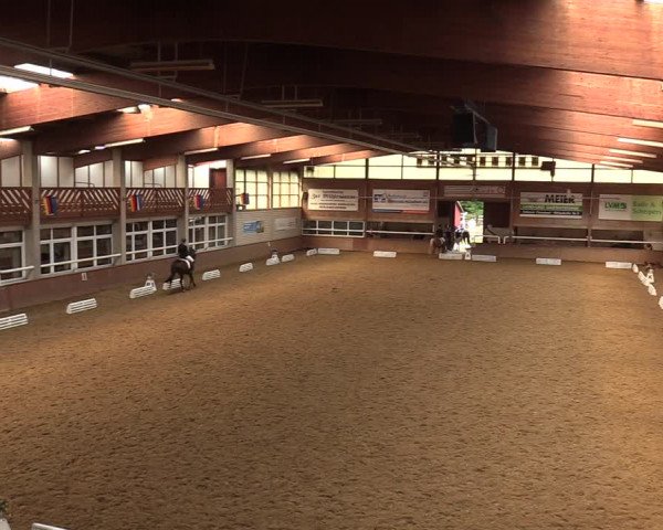Reitturnier Delbrück-Ostenland 2018