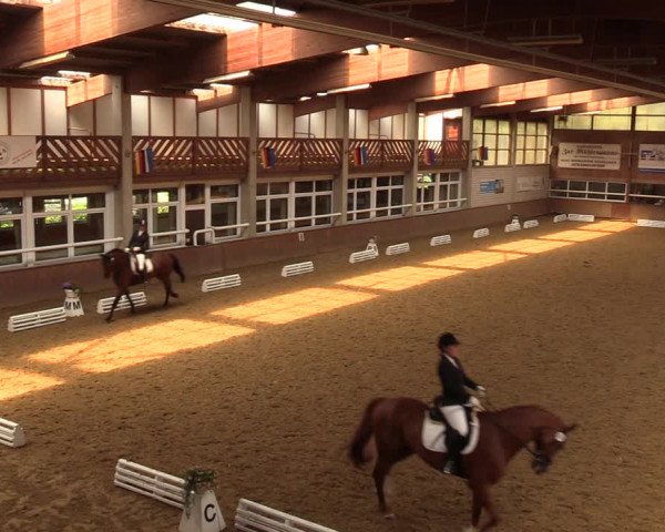 Reitturnier Delbrück-Ostenland 2018