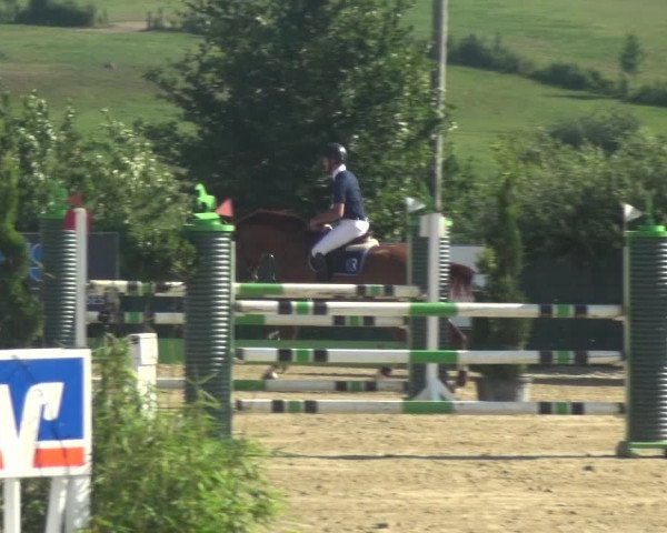 Reitturnier Lindlar-Süttenbach 2018