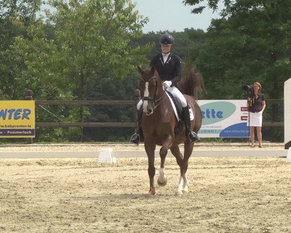 CDI**** Leudelange (LUX) 2018