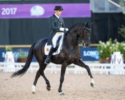 dressage horse Deep Impact 3 (Hanoverian, 2003, from De Niro)