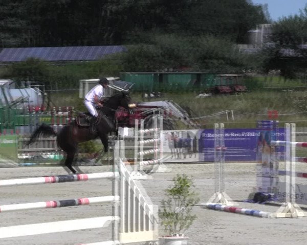 Reitturnier Schülp / Rendsburg 2018