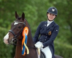 dressage horse Fil Rouge (Belgian Warmblood, 2005, from Stedinger)