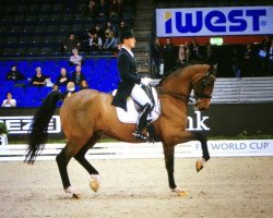 dressage horse Foco Loco W (Belgian Warmblood, 2005, from Sierappel)