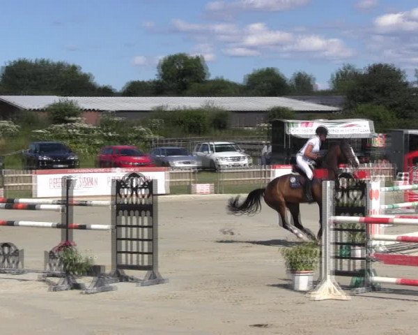 Reitturnier Schülp / Rendsburg 2018