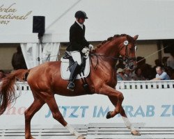 stallion Fiorello KJ (Hanoverian, 2013, from Fürst Romancier)