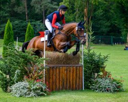 jumper For Fantasy WLO (Hanoverian, 2010, from Fidertanz)
