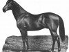 stallion The Sailor Prince xx (Thoroughbred, 1880, from Albert Victor xx)