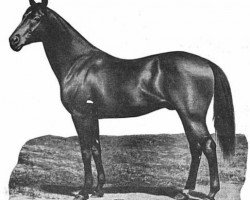 stallion The Sailor Prince xx (Thoroughbred, 1880, from Albert Victor xx)