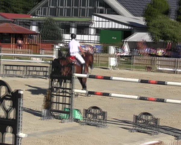 Reitturnier Schülp / Rendsburg 2018