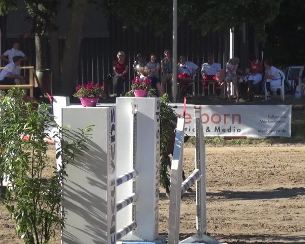 Erkrather Classics 2018