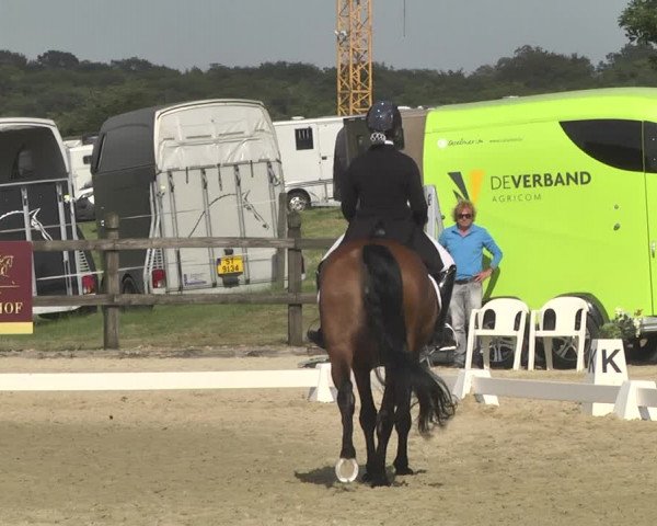 CDI**** Leudelange (LUX) 2018