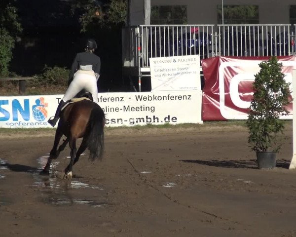 Erkrather Classics 2018