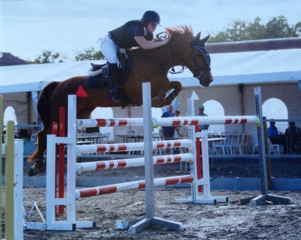 broodmare Kathalina ter leen (Belgian Warmblood,  , from Calipso van de Vondelhoeve)