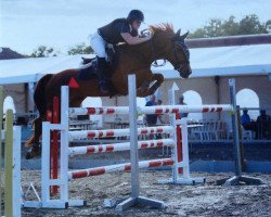 broodmare Kathalina ter leen (Belgian Warmblood,  , from Calipso van de Vondelhoeve)