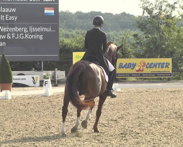 CDI**** Leudelange (LUX) 2018