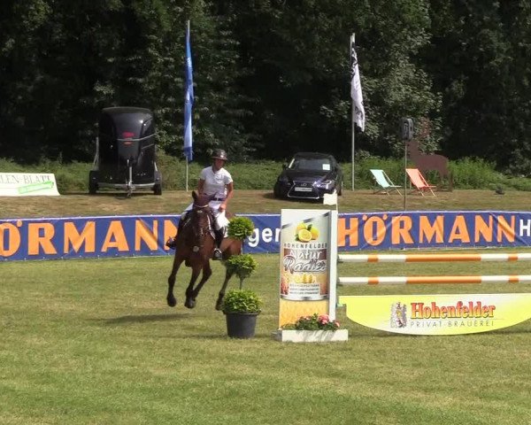 Steinhagener Reitertage 2018