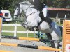 jumper Camasco (German Sport Horse, 2010, from Camax L)