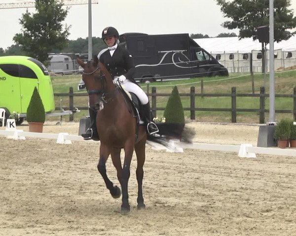 CDI**** Leudelange (LUX) 2018