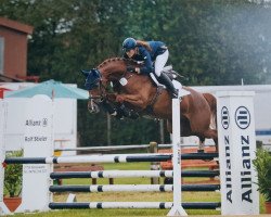 dressage horse Querida 88 (Hanoverian, 2012, from Quasar de Charry)