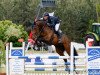 jumper Leroy 179 (Oldenburg show jumper, 2009, from Lord Pezi)