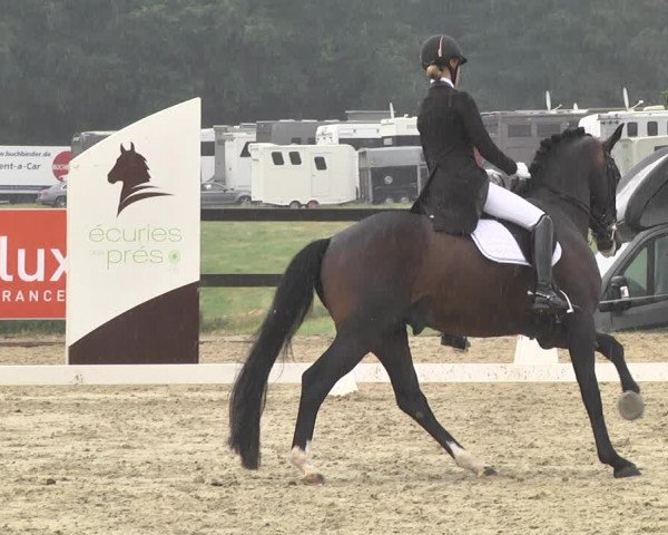 CDI**** Leudelange (LUX) 2018
